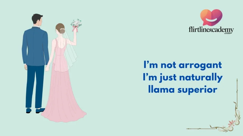 Brilliant Llama Rizz Lines