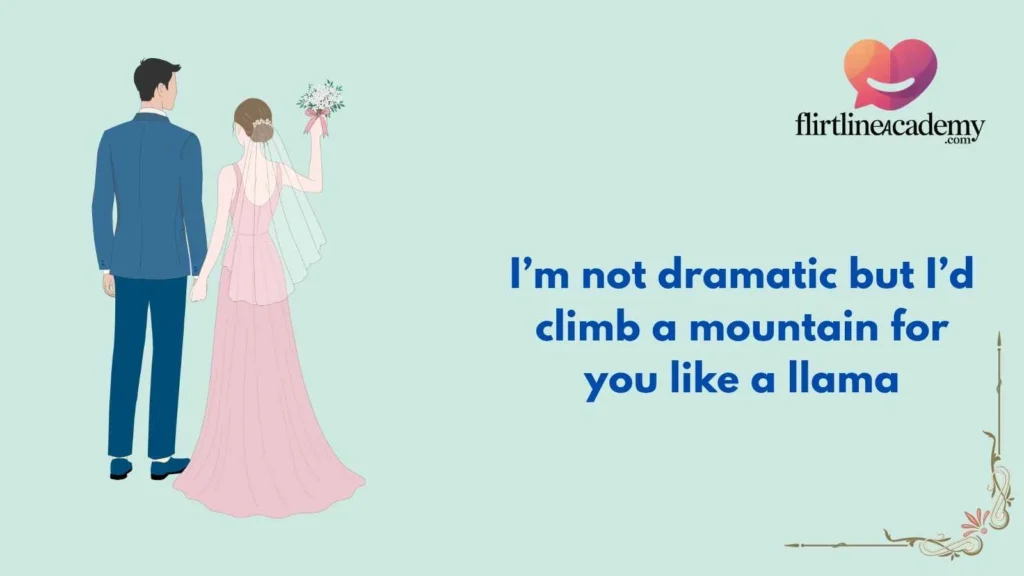 Funny Llama Pick Up Lines