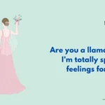 Llama Pick Up Lines